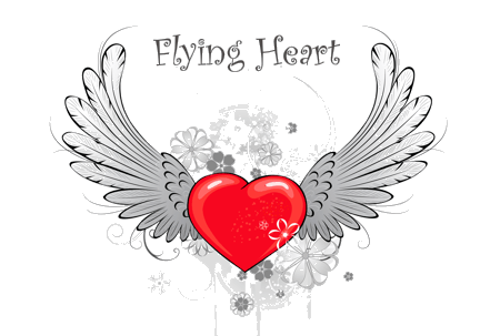 Flying Heart Havaneser